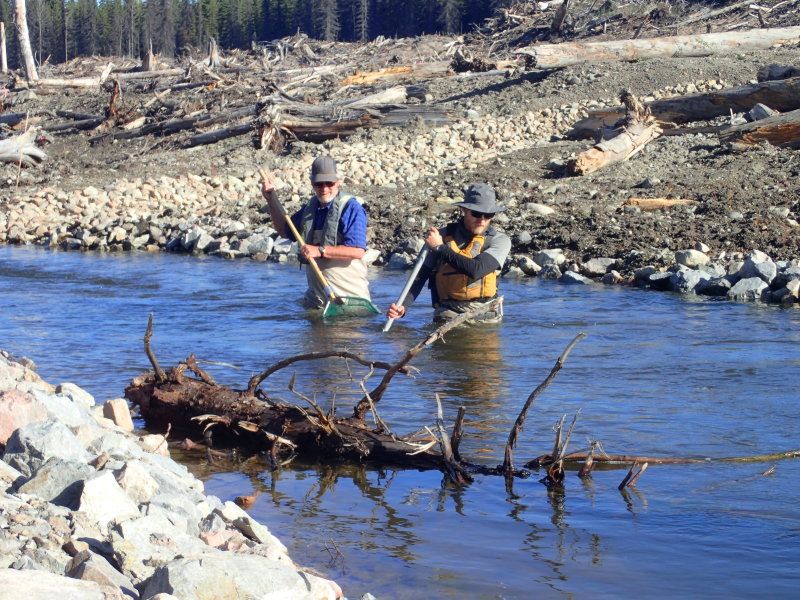 Data Driven Lake Management