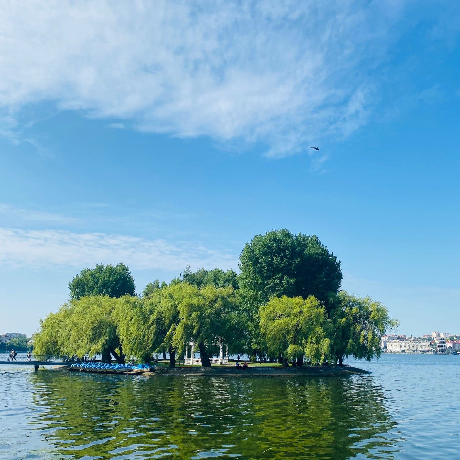 Lake Conservation