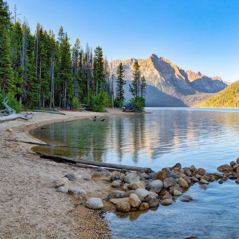 Ecological Restoration Expertise