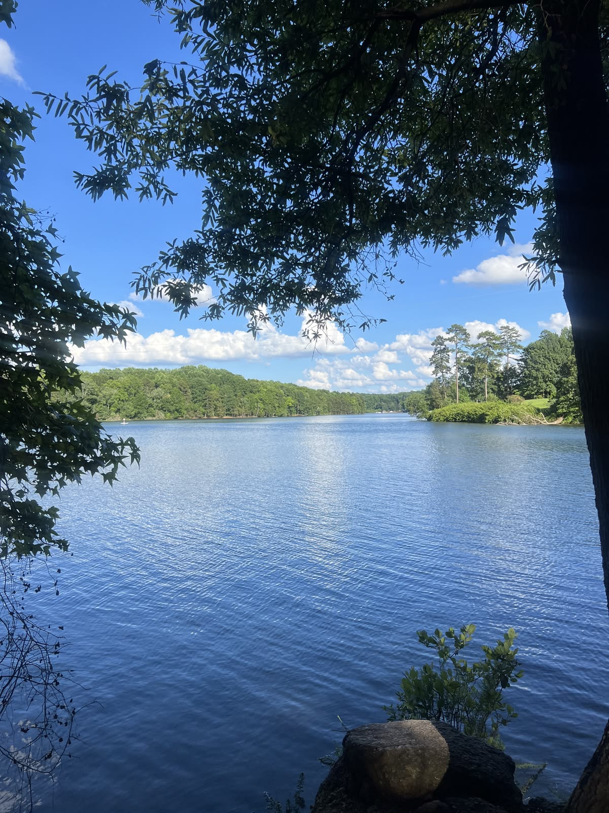 Lake Environment