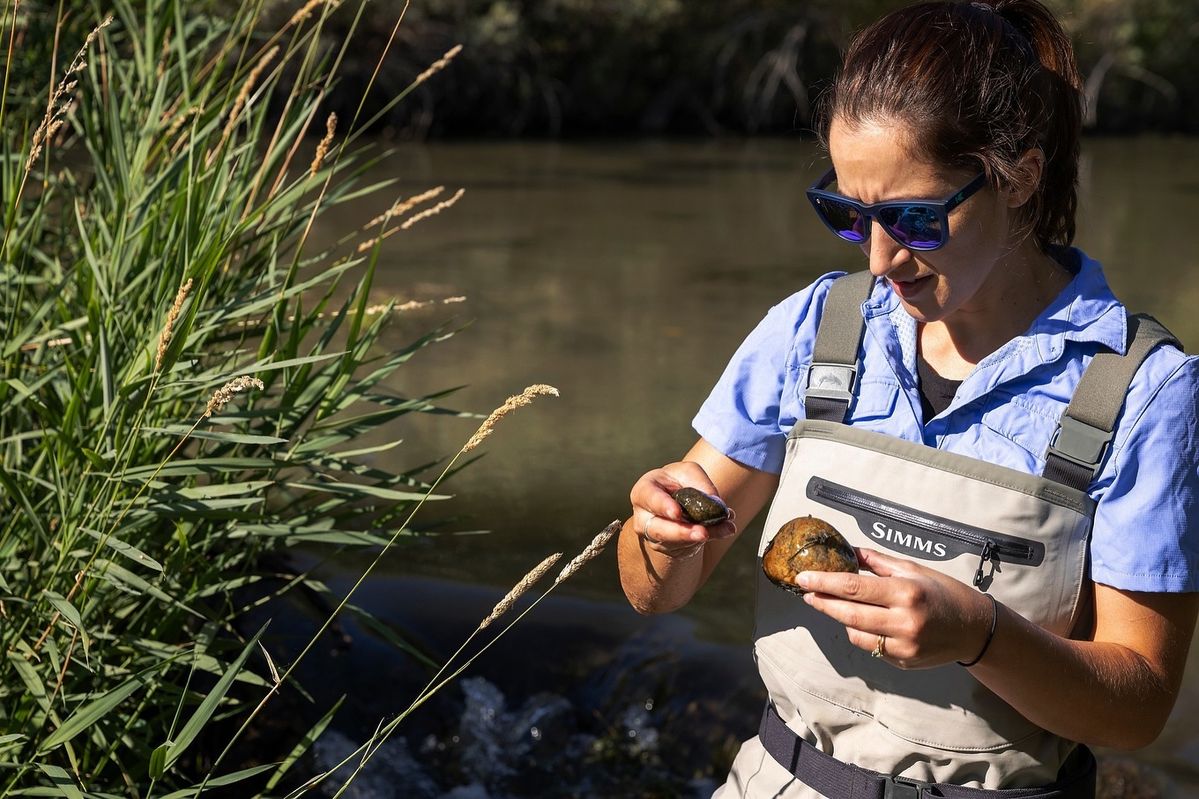 Lake Conservation Planning