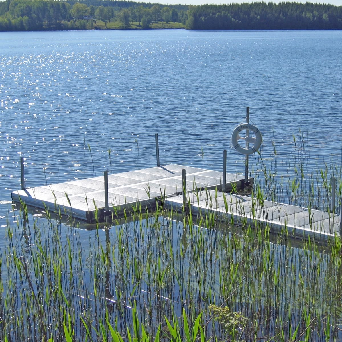 Lake Conservation