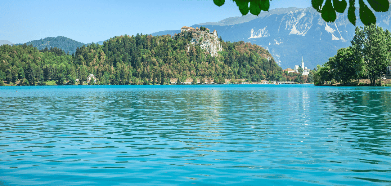 Lake Ecosystem