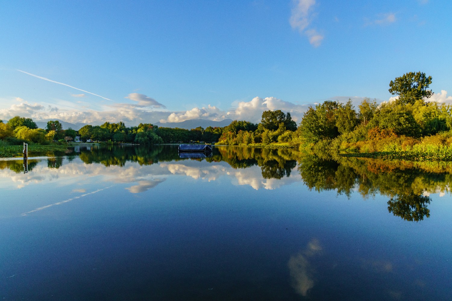 Healthy Lake Ecosystem