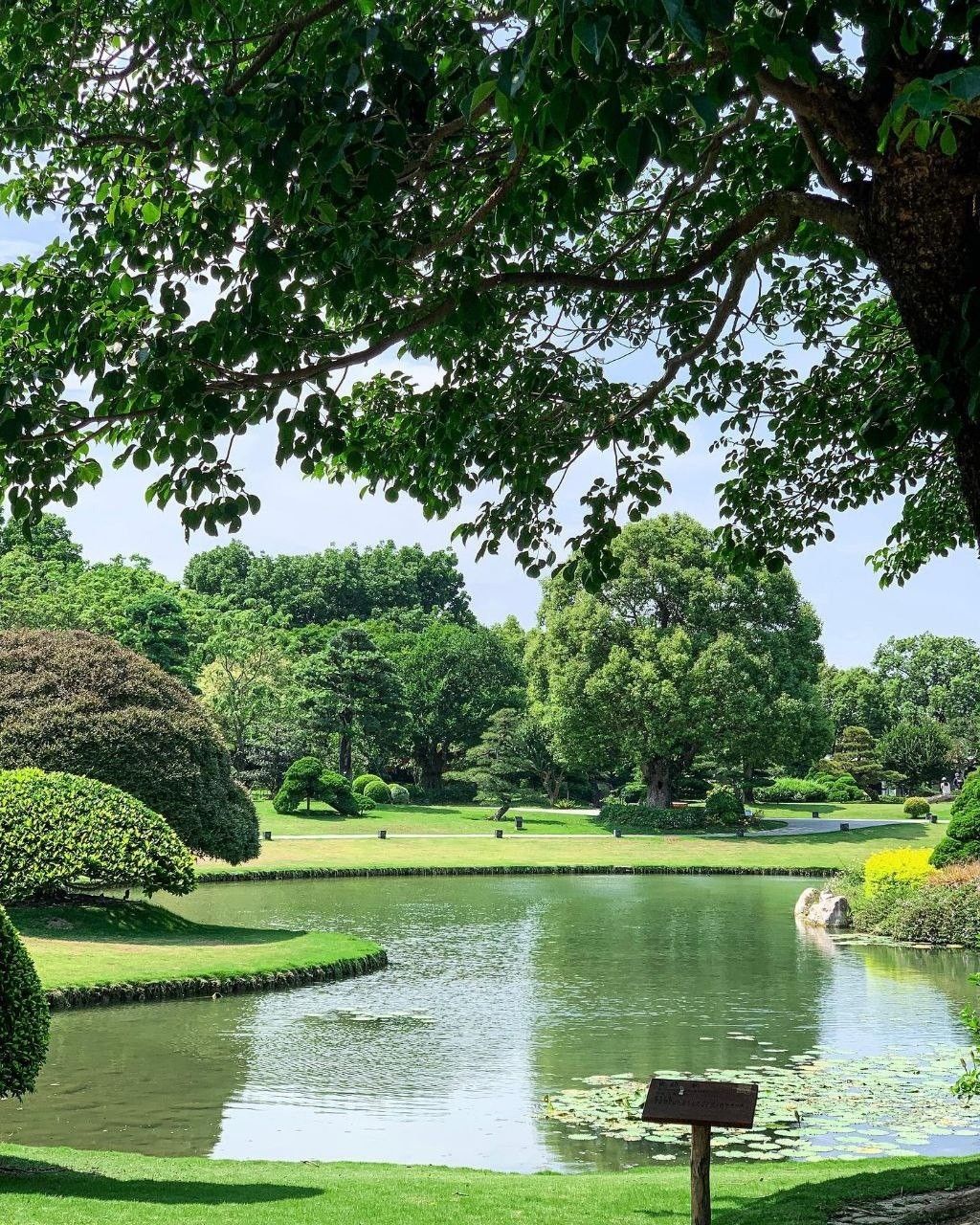 Lake Biodiversity Conservation