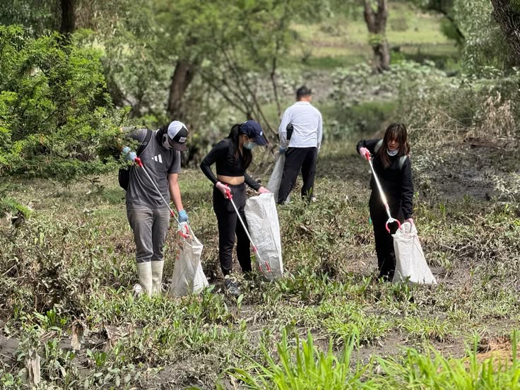 Wetland Ecosystem Management